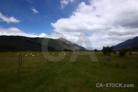South island field new zealand sky cloud.