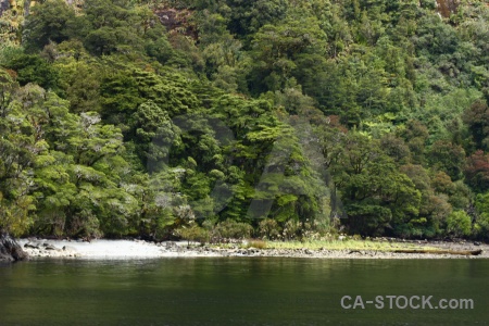 South island fiord doubtful sound tree mountain.