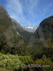 South island new zealand cloud tree mountain.
