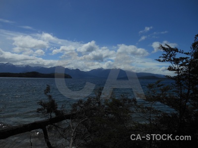 South island tree new zealand cloud manapouri.