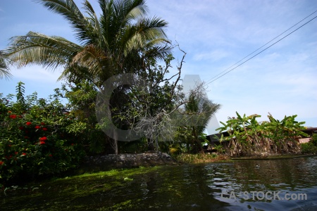 Southeast asia damnoen saduak building canal floating.