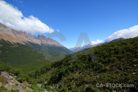 Southern patagonian ice field south america cloud tree andes.