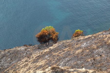 Spain ash montgo fire europe burnt.