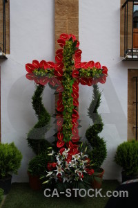 Spain cross flower plant red.