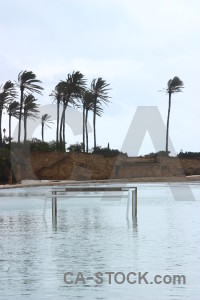 Spain white palm tree javea cloud.