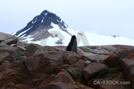 Square bay ice antarctica cruise horseshoe island antarctic peninsula.