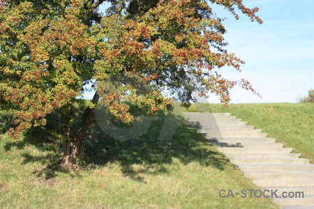 Stair step green.