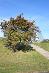 Step green blue stair.