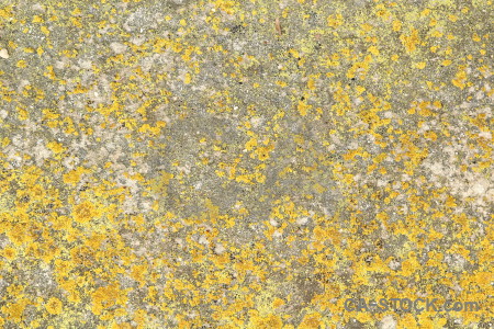 Stone orange texture yellow rock.