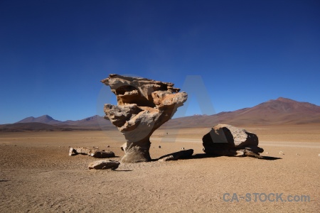 Stone tree south america mountain altitude rock formation.