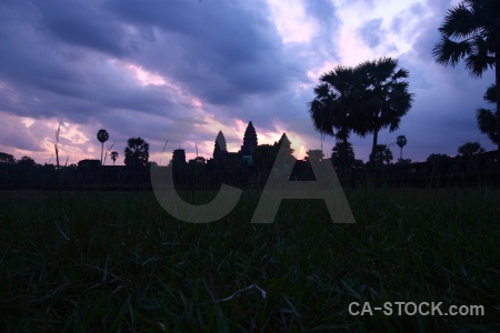 Sunrise tree angkor wat cambodia sky.