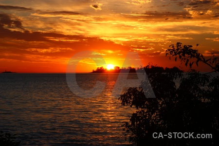 Sunset sky water tree sun.