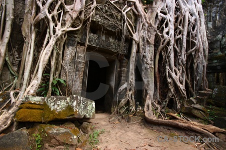 Ta prohm ruin carving cambodia stone.