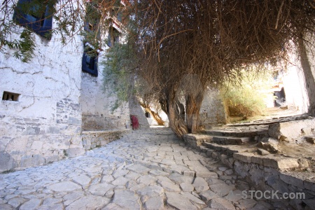 Tashilhunpo monastery buddhism path asia himalayan.