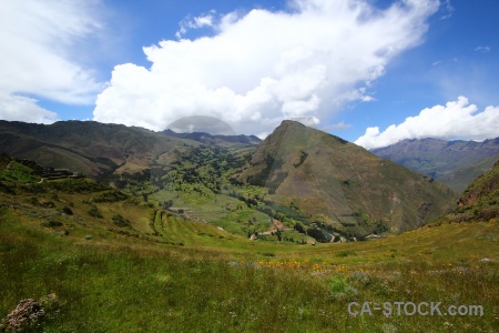 Terrace grass bush landscape south america.