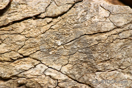 Texture brown rock stone.