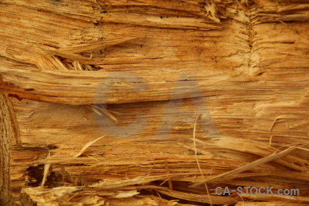 Texture rough javea spain wood.