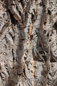 Texture wood.