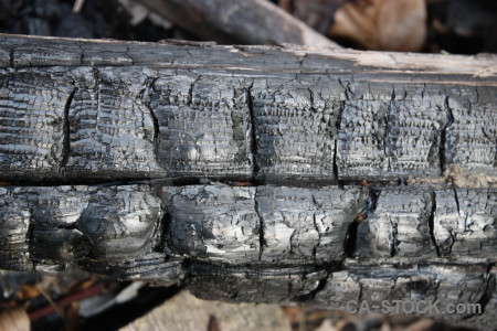 Texture wood gray burnt.
