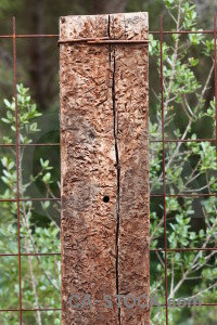 Texture wood post green.