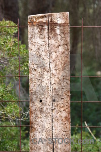 Texture wood post green.