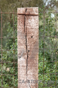 Texture wood post green.