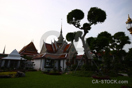 Thailand sky bangkok grass southeast asia.