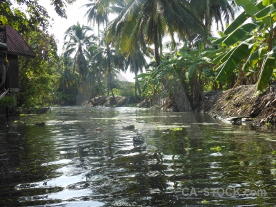 Thailand sky tree water damnoen saduak.