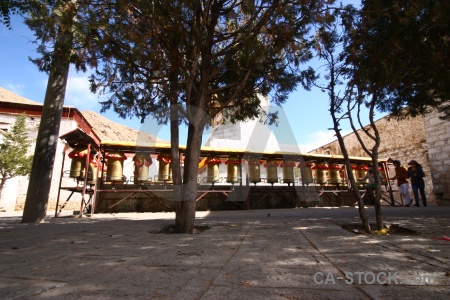 Tibet tree building lhasa asia.