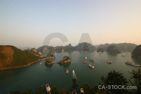 Titov island vehicle tree vinh ha long bay.