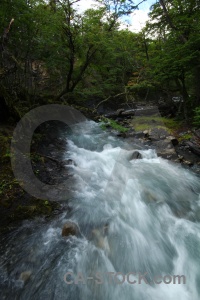 Torres del paine rock water los perros river tree.