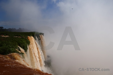 Tree argentina spray river iguassu falls.