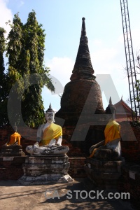 Tree brick asia buddhism temple.