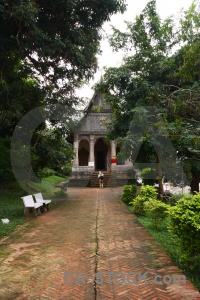 Tree buddhist southeast asia buddhism temple.