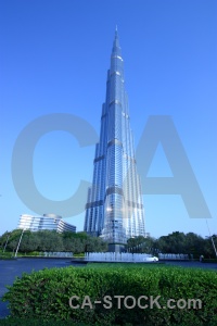 Tree building burj khalifa skyscraper uae.