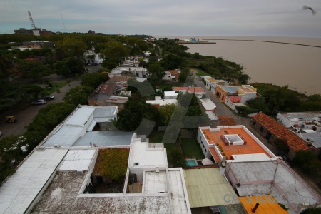 Tree building uruguay rio del la plata road.