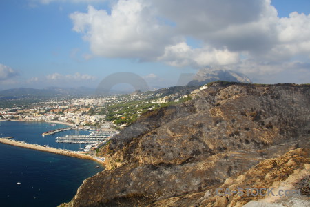 Tree burnt spain javea ash.