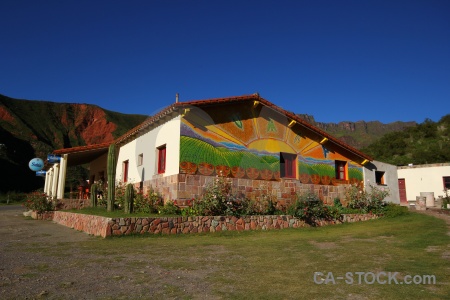 Tree calchaqui valley argentina landscape escoipe.