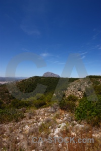 Tree europe spain sky montgo.