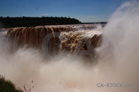 Tree garganta del diablo unesco waterfall iguacu falls.