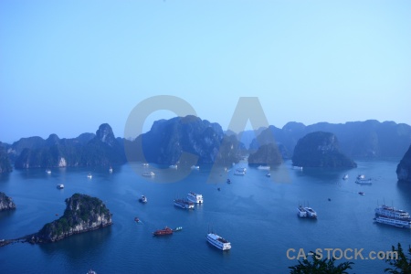 Tree island sea titov ha long bay.