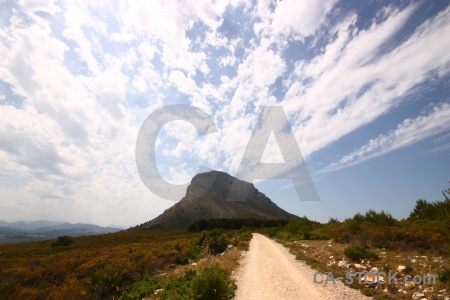 Tree javea montgo spain path.