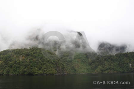 Tree new zealand fiord sky mountain.