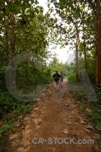 Tree path trek luang prabang southeast asia.