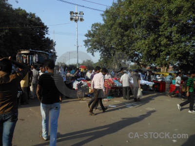 Tree person south asia delhi market.