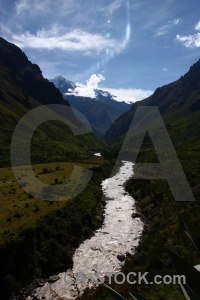 Tree peru andes altitude nevado veronica.