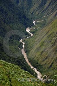 Tree river urubamba peru andes.