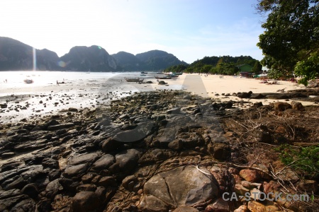 Tree sand ko phi don island water.