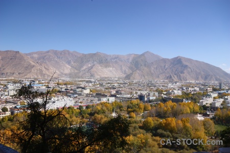 Tree sky china lhasa tibet.