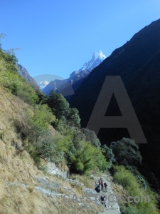 Tree sky nepal machhapuchchhre himalayan.
